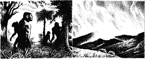 Димитр Ангелов - Когда человека не было