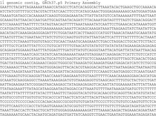 Себастьян Сеунг - Коннектом. Как мозг делает нас тем, что мы есть
