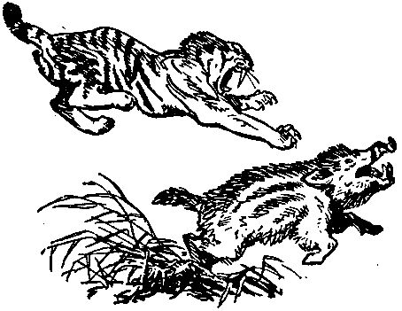 Владимир Обручев - Плутония (Художник Г. Никольский)