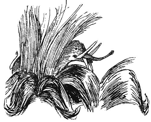 Корней Чуковский - Стихи и сказки