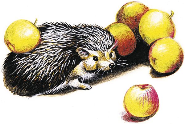 Георгий Скребицкий - Лесной голосок (сборник)