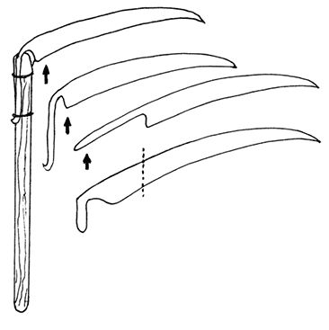 Анна Зорина - Садово-огородные хитрости. Постройки и инвентарь