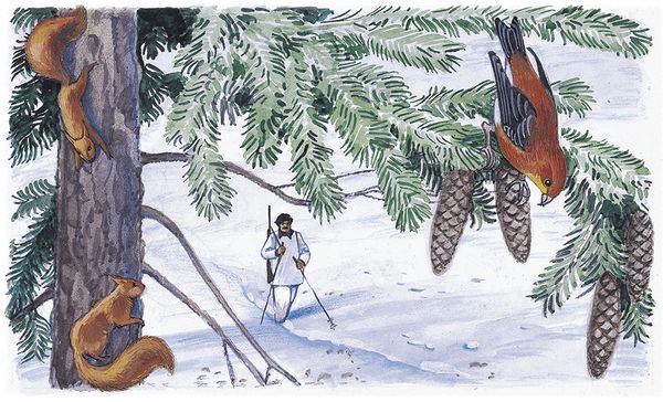 Георгий Скребицкий - Лесной голосок (сборник)