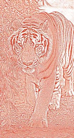 Михаил Кречмар - Полосатая кошка, пятнистая кошка