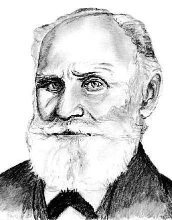 Сергей Степанов - Век психологии: имена и судьбы