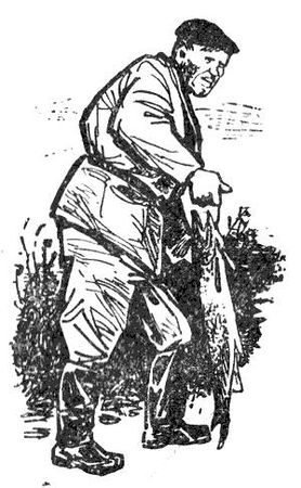 Збигнев Ненацкий - Остров преступников