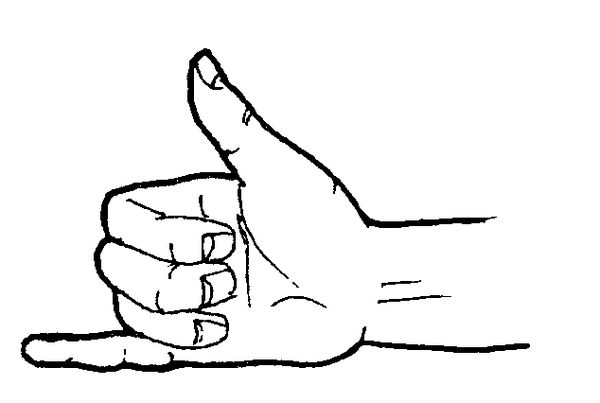 Лариса Калашникова - ВВЕДЕНИЕ В ЯЗЫКОЗНАНИЕ (Курс лекций)