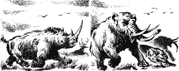 Димитр Ангелов - Когда человека не было