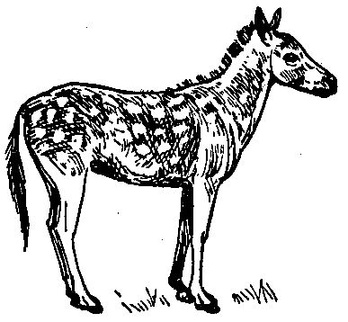 Владимир Обручев - Плутония (Художник Г. Никольский)