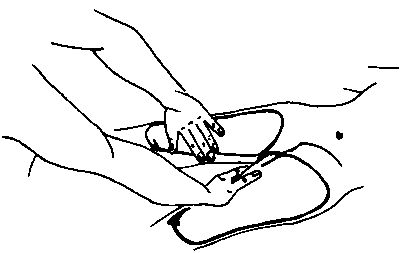 Элиза Танака - Массаж гейши. Изысканная романтика секса