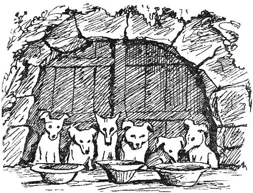 Корней Чуковский - Стихи и сказки