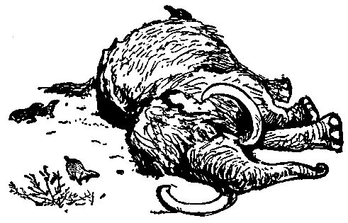 Владимир Обручев - Плутония (Художник Г. Никольский)