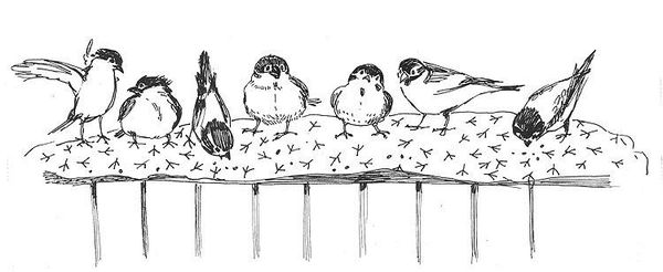 Алексей Березин - Зонтик для Даши