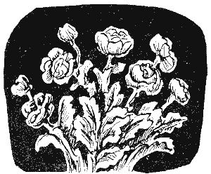 Корней Чуковский - Стихи и сказки