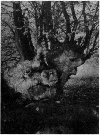 Андрей Васильченко - Стоунхендж Третьего рейха