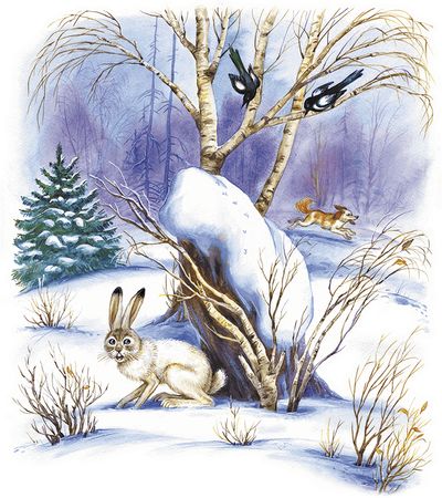 Георгий Скребицкий - Лесной голосок (сборник)