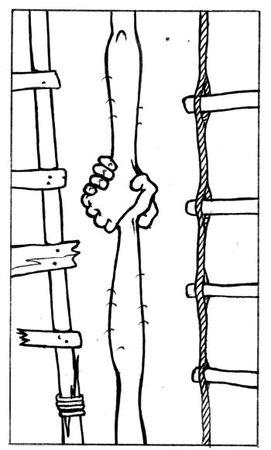 Елена Молл - Управление карьерой менеджера