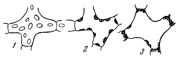 Александр Кожевников - По тундрам, лесам, степям и пустыням