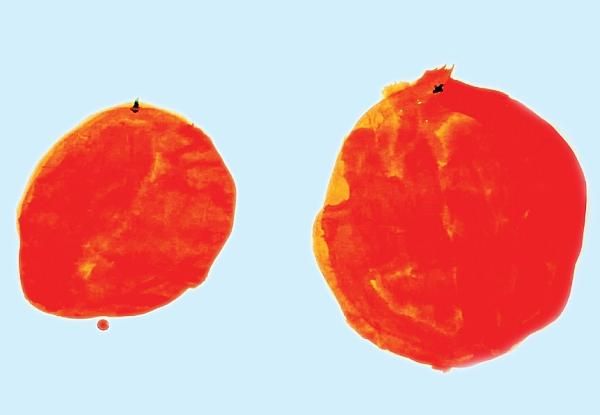 Дарья Колдина - Рисование с детьми 3-4 лет. Конспекты занятий