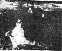 Валерий Момот - Рожденные во тьме