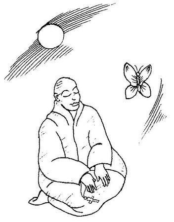 Роман Доля - Техника и практика медитаций