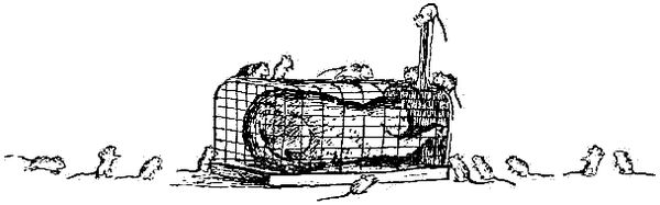 Корней Чуковский - Стихи и сказки