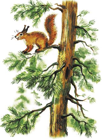 Георгий Скребицкий - Лесной голосок (сборник)