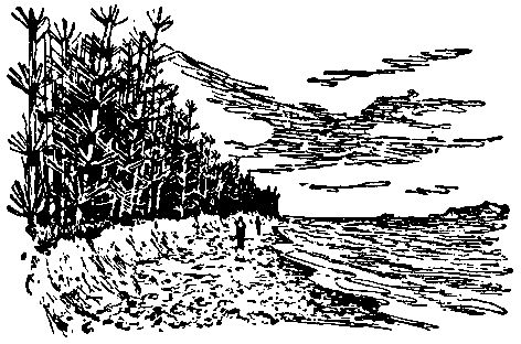 Владимир Обручев - Плутония (Художник Г. Никольский)