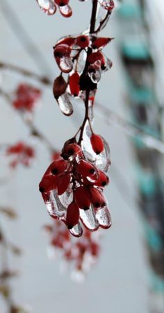 Валентина Ива - Субстанция времени