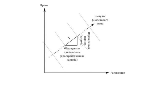Грег Иган - Заводная ракета