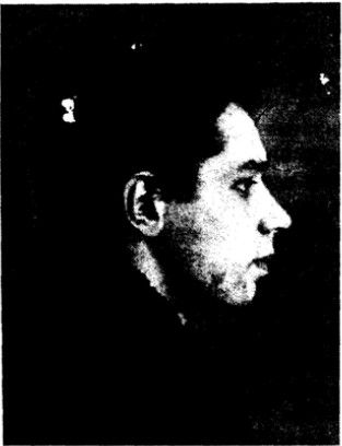 Николай Дурново - Грамматический словарь. Грамматические и лингвистические термины