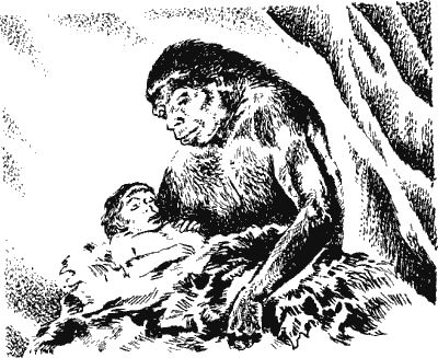 Димитр Ангелов - Когда человека не было