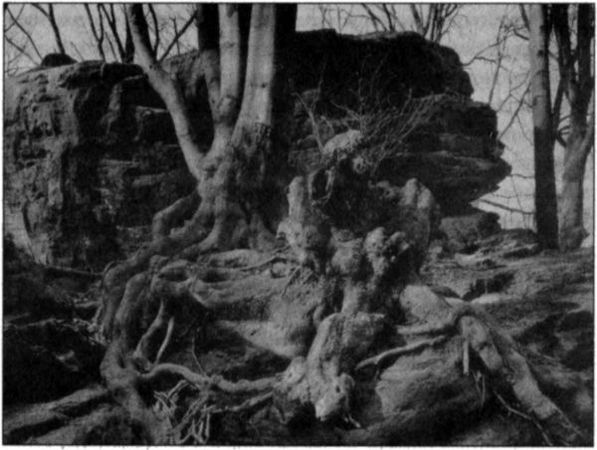 Андрей Васильченко - Стоунхендж Третьего рейха