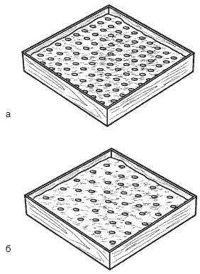 Галина Серикова - Всё о семенах овощных культур