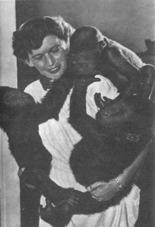 Бернгард Гржимек - Животные рядом с нами