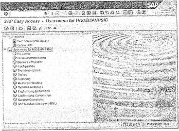 Сигрид Хагеман, Лиане Вилл - SAP R/3 Системное администрирование