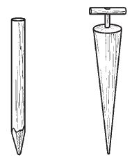 Галина Серикова - Всё о семенах овощных культур