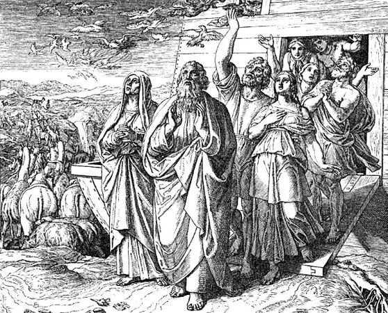 Михаил Курушин, Николай Непомнящий - Катастрофы и катаклизмы