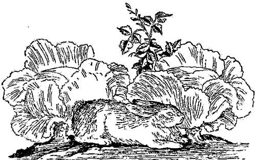 Корней Чуковский - Стихи и сказки