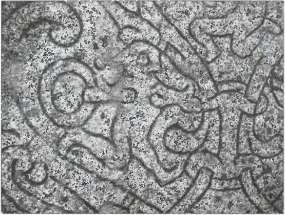 Вадим Бурлак - Стокгольм. История. Легенды. Предания