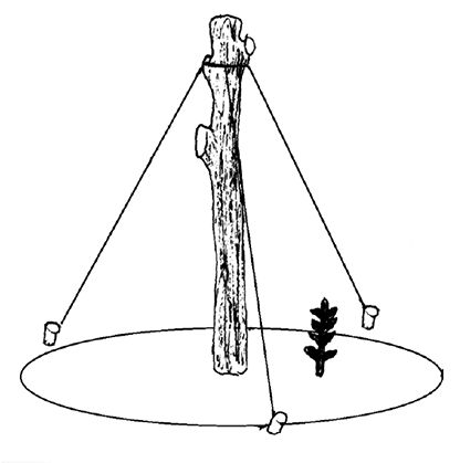 Анна Зорина - Садово-огородные хитрости. Постройки и инвентарь