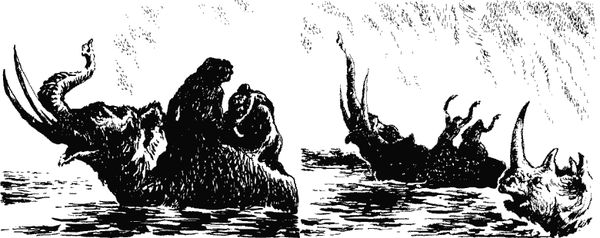 Димитр Ангелов - Когда человека не было