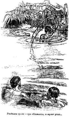 Томас Рид - Собрание сочинений, том 2. Оцеола, вождь семинолов. Морской волчонок