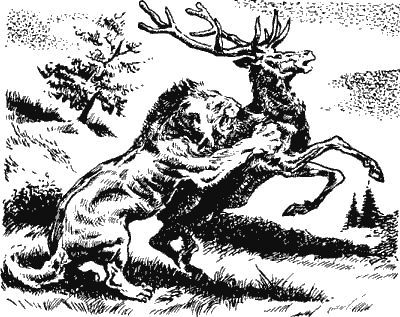 Димитр Ангелов - Когда человека не было