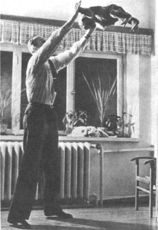 Бернгард Гржимек - Животные рядом с нами