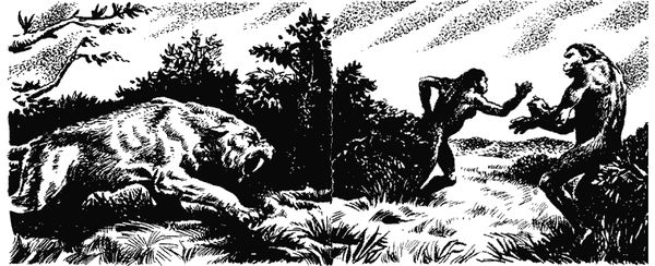 Димитр Ангелов - Когда человека не было