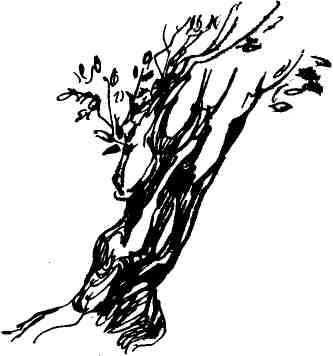 Леонид Фомин - Солнце красно поутру