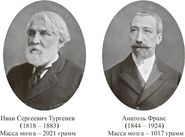 Себастьян Сеунг - Коннектом. Как мозг делает нас тем, что мы есть