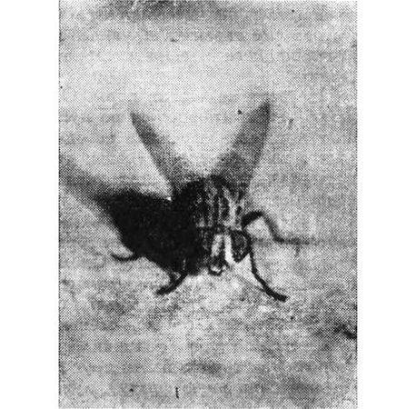 Павел Мариковский - Шагая по пустыне...