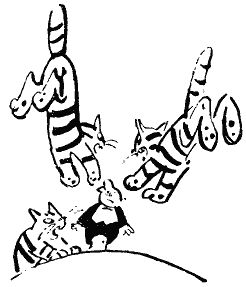 Илья Ильф, Евгений Петров - Собрание сочинений. Том 5. Рассказы, очерки, фельетоны